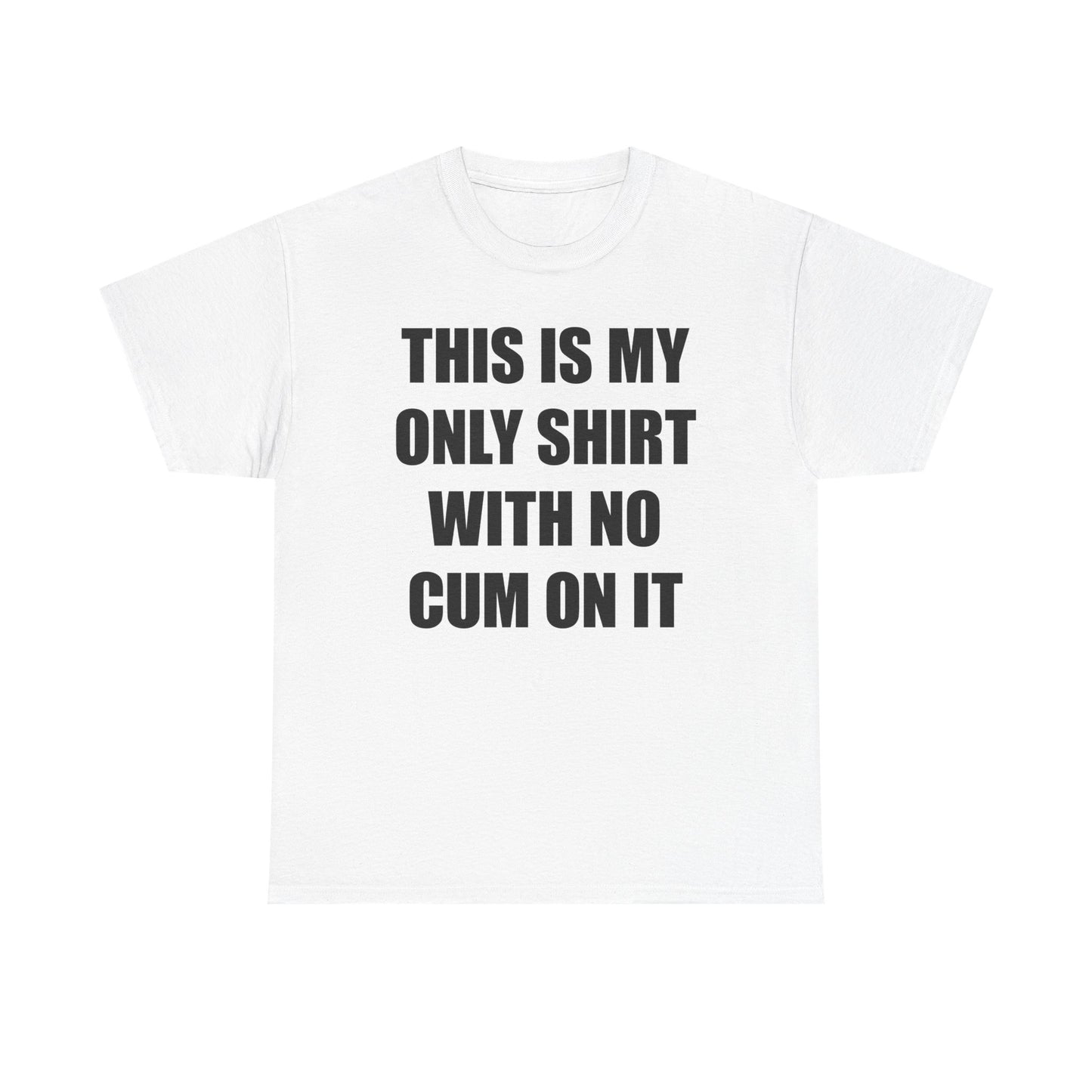 This Is My Only Shirt With No Cum On It T-Shirt