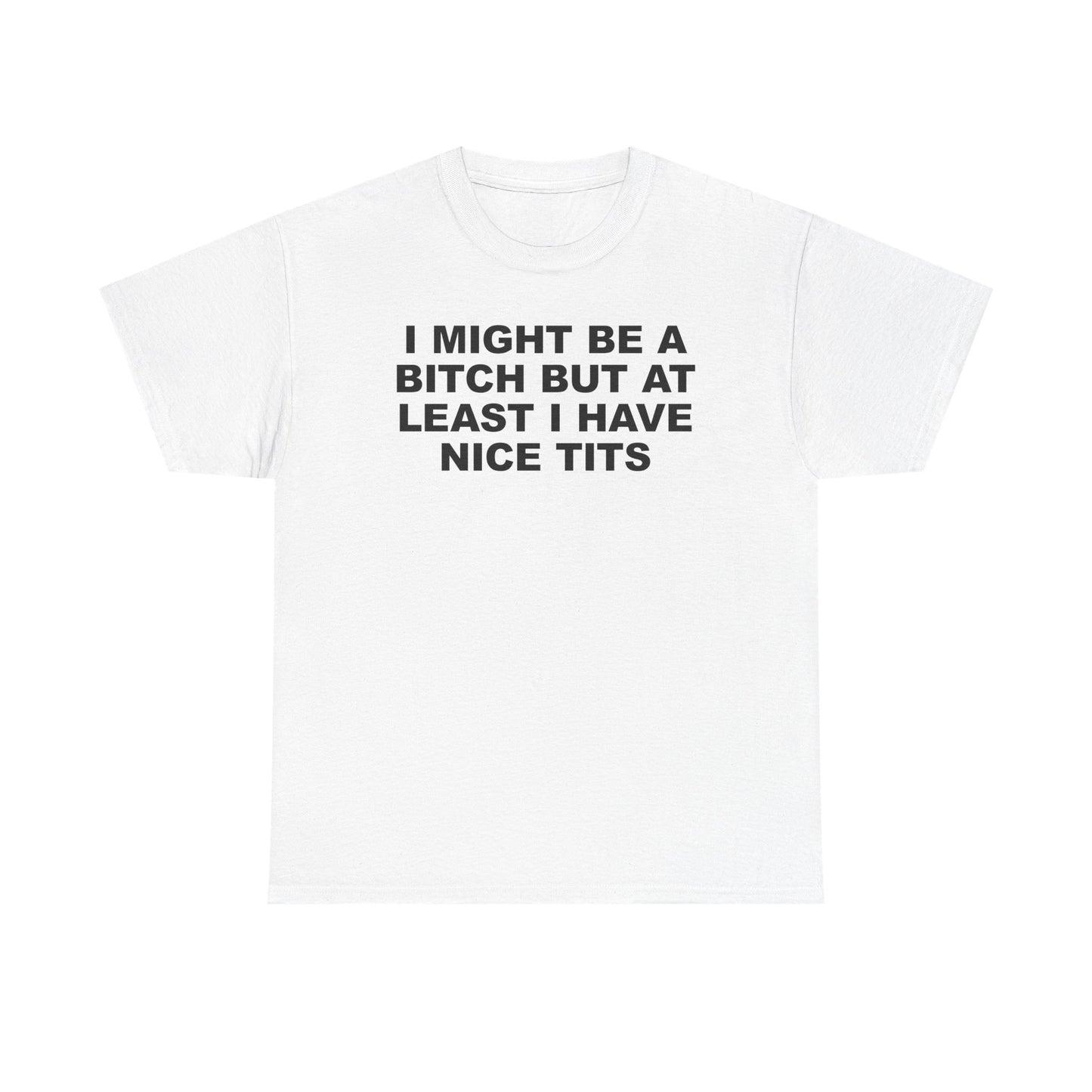 I Might Be A Bitch But At Least I Have Nice Tits T-Shirt