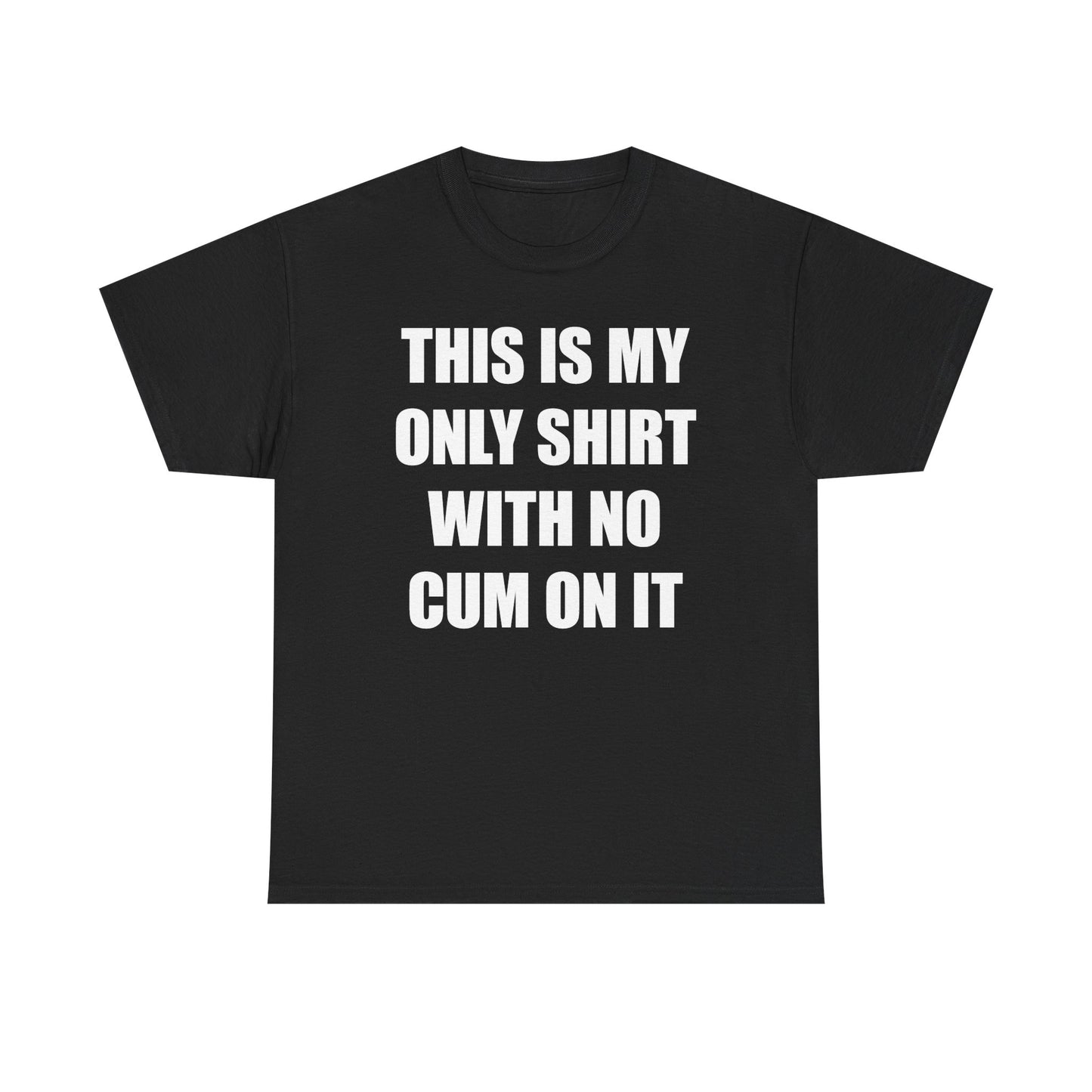 This Is My Only Shirt With No Cum On It T-Shirt
