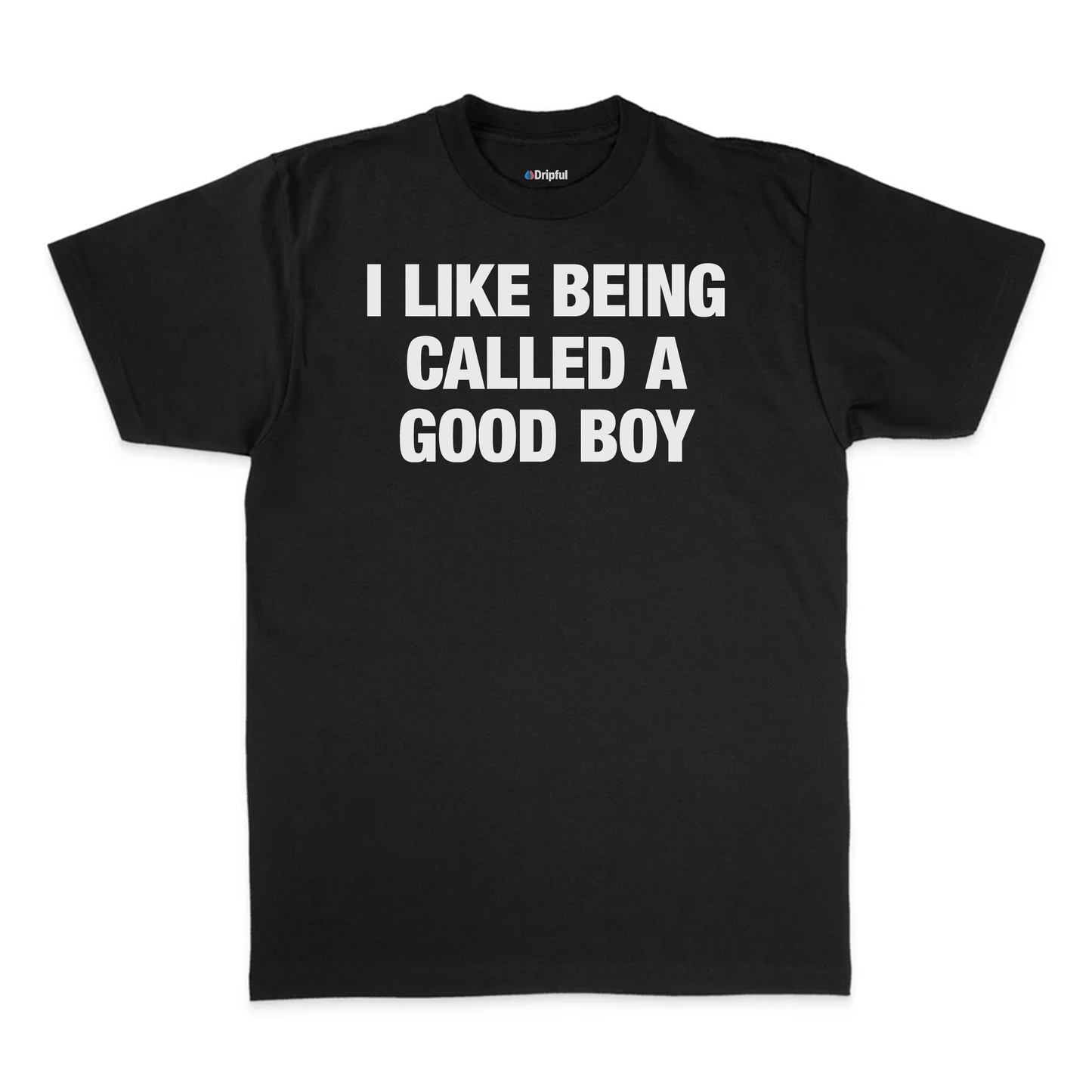 I Like Being Called A Good Boy T-Shirt