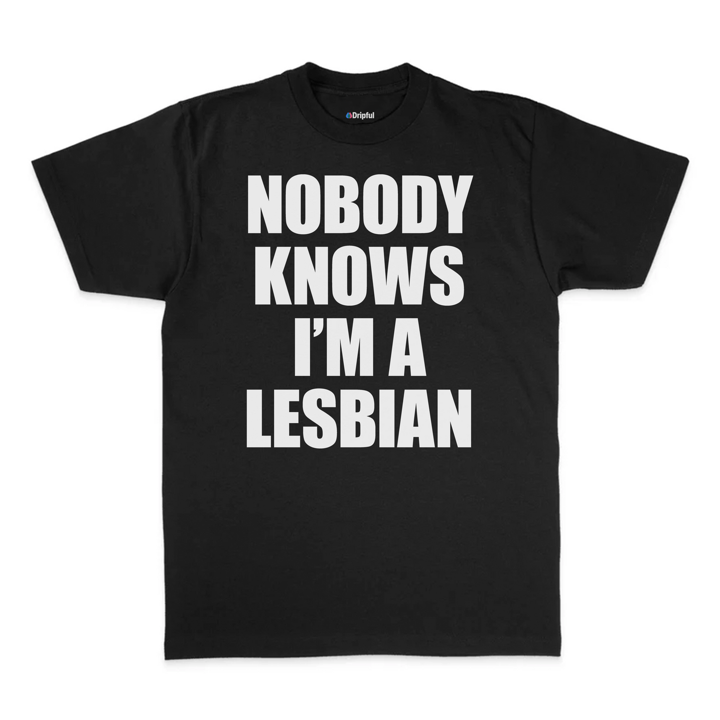 Nobody Knows I'm A Lesbian T-Shirt