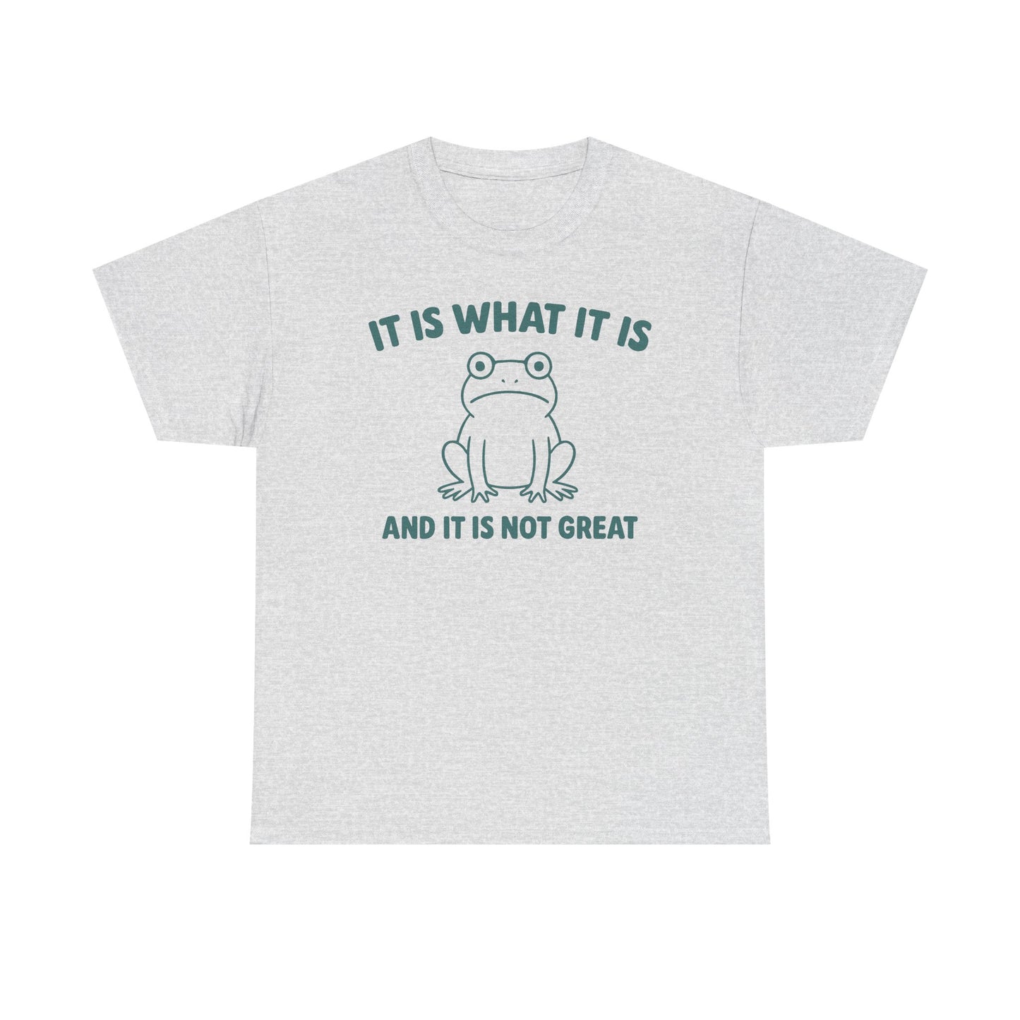 It Is What It Is And It Is Not Great T-Shirt