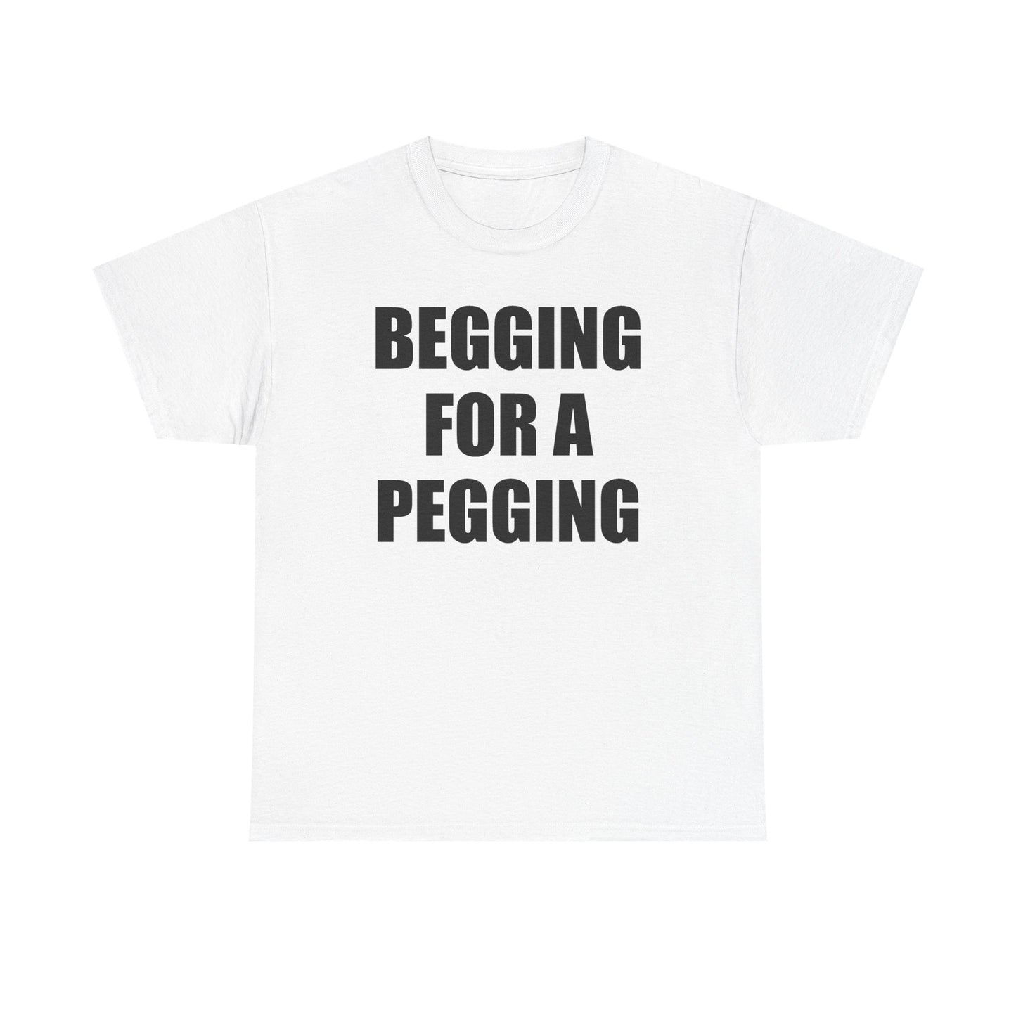Begging For A Pegging T-Shirt