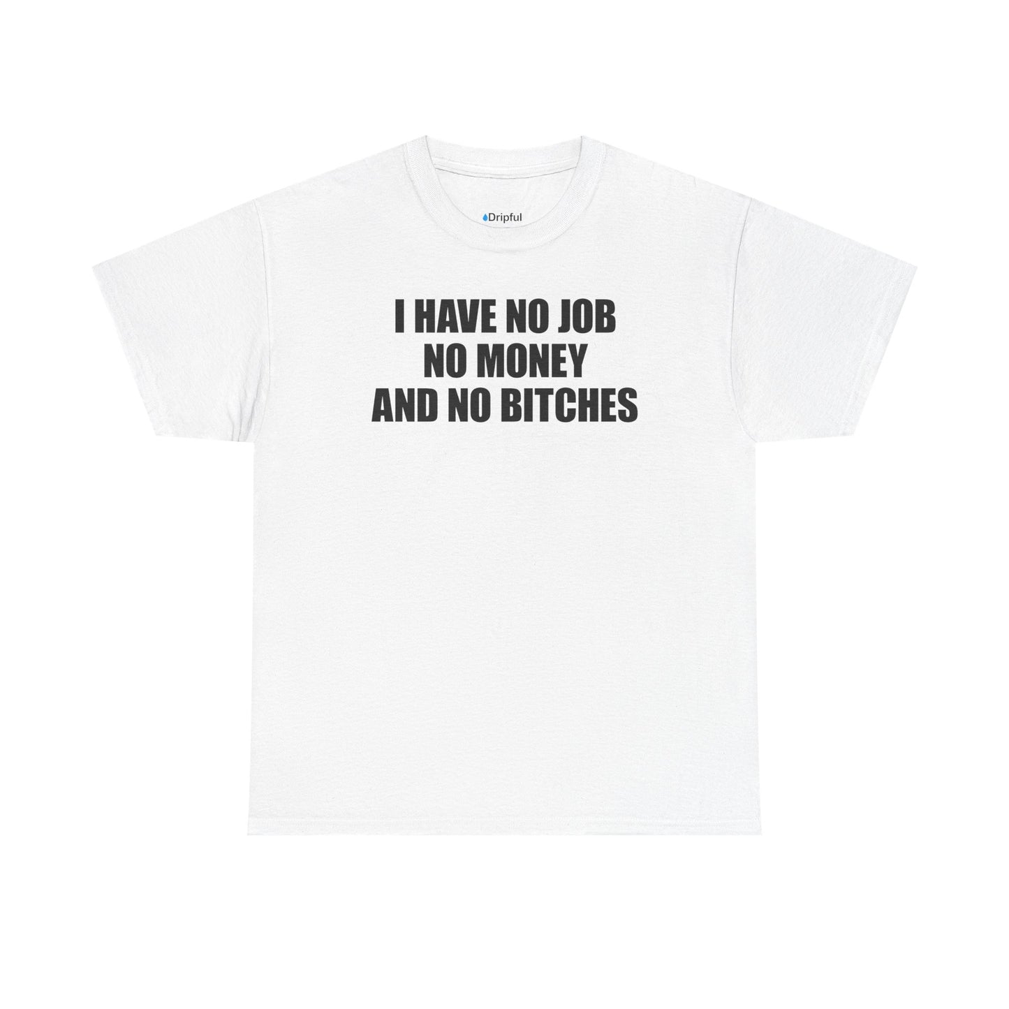 I Have No Job No Money And No Bitches T-Shirt