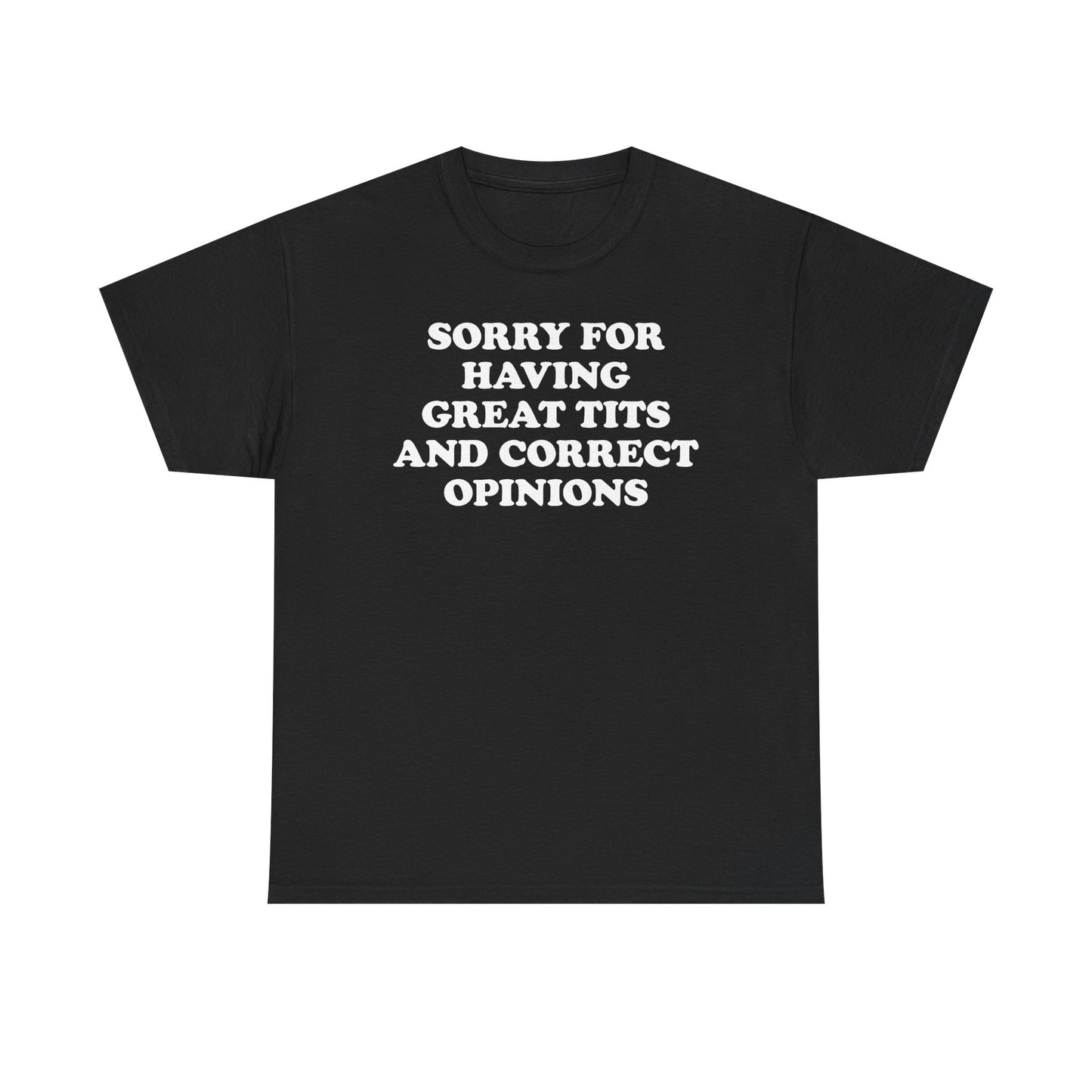 Sorry For Having Great Tits And Correct Opinions T-Shirt