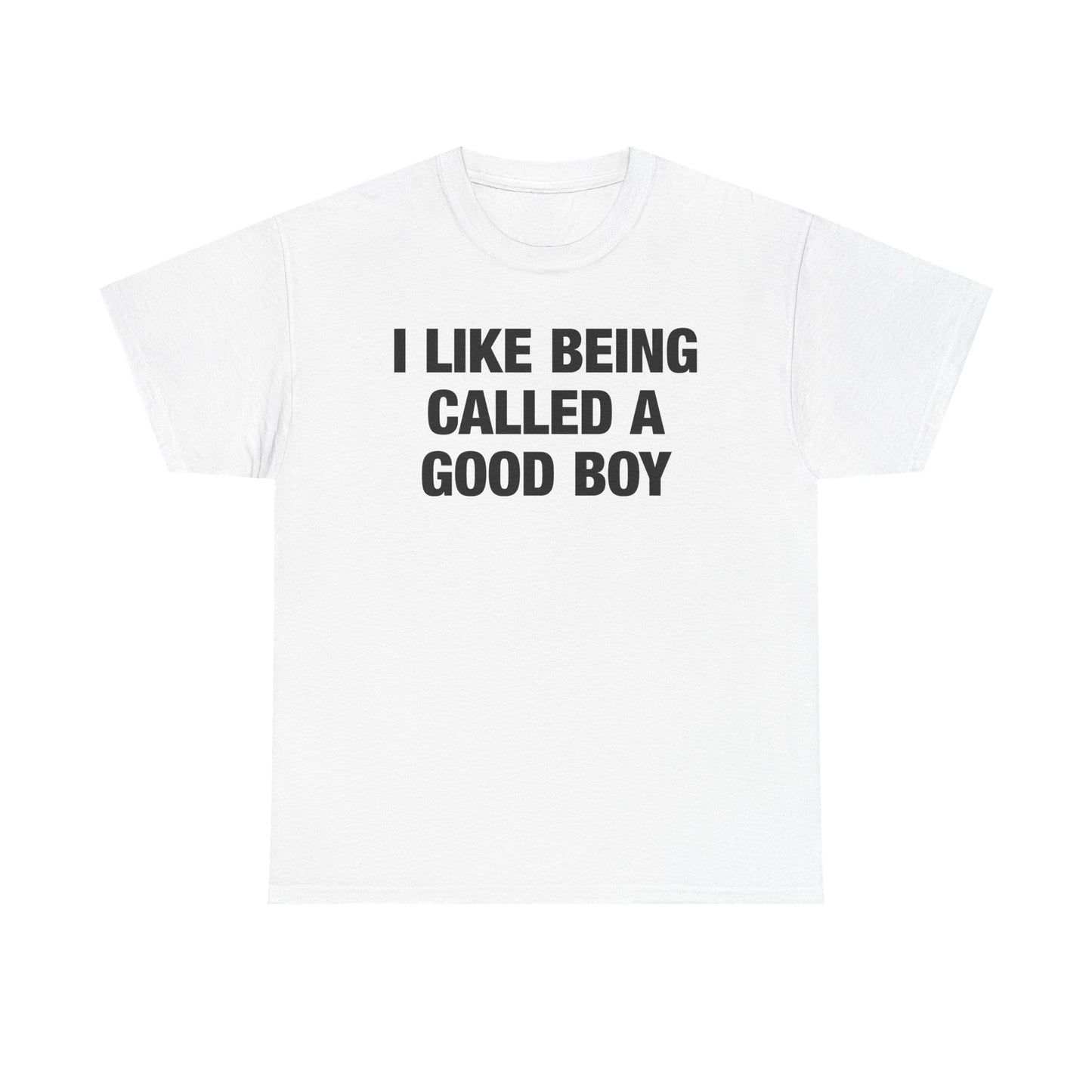 I Like Being Called A Good Boy T-Shirt