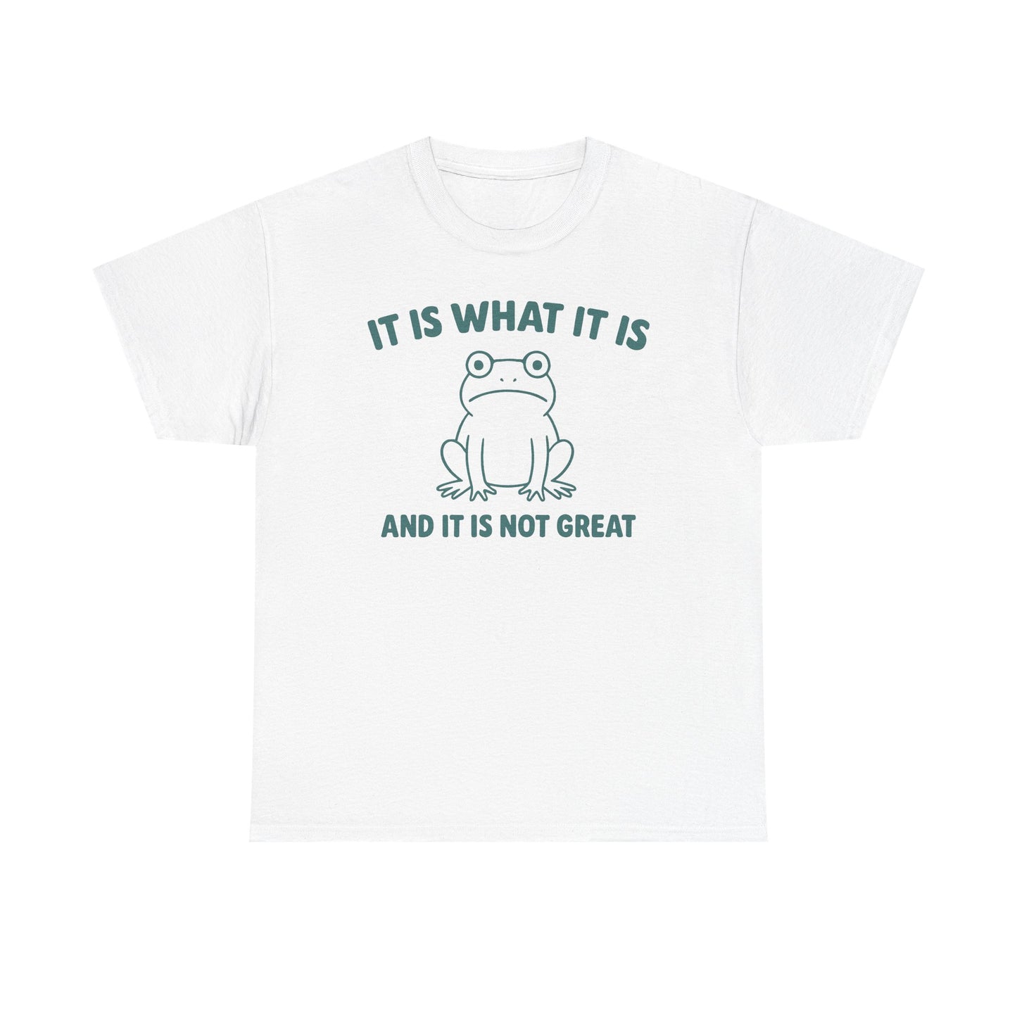 It Is What It Is And It Is Not Great T-Shirt