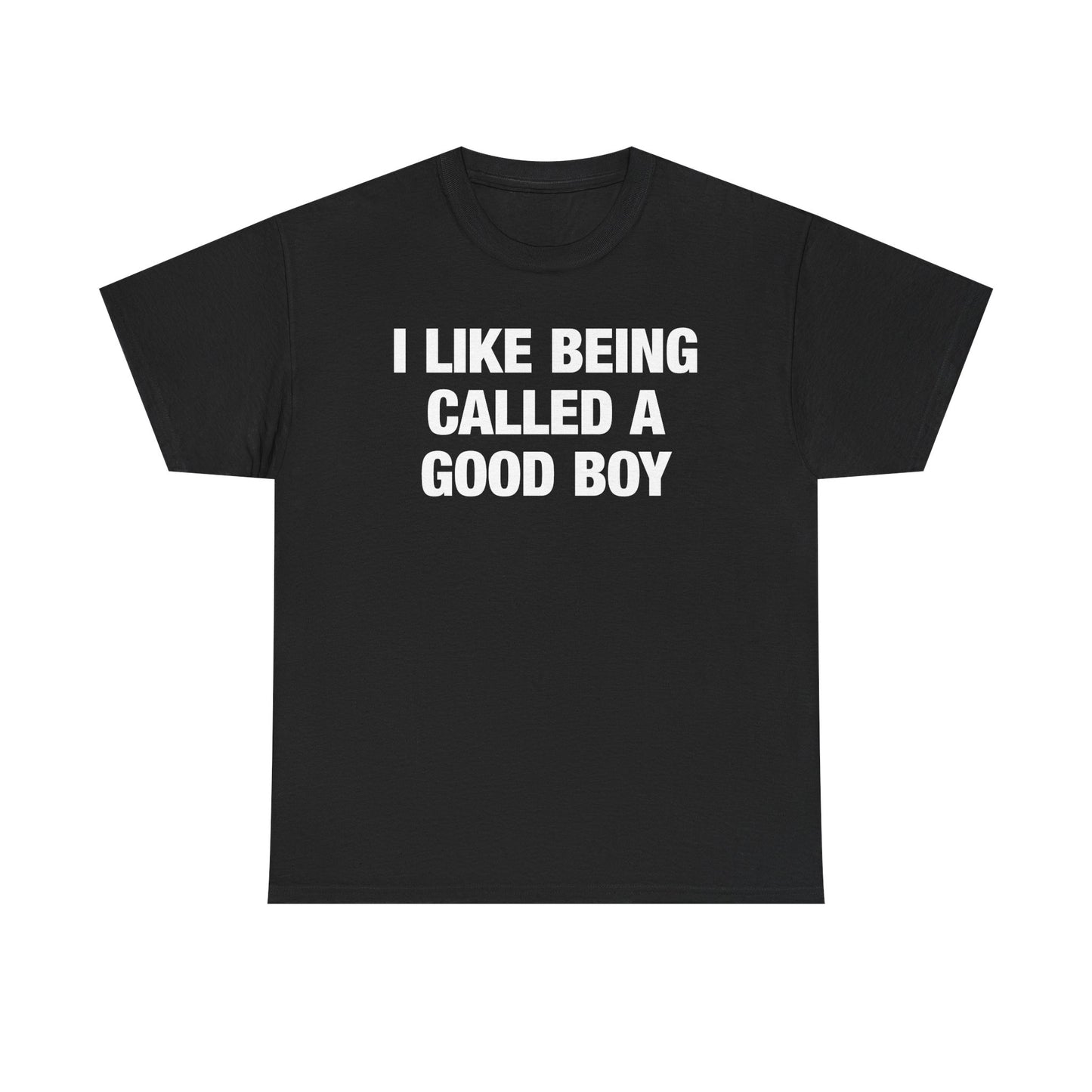I Like Being Called A Good Boy T-Shirt