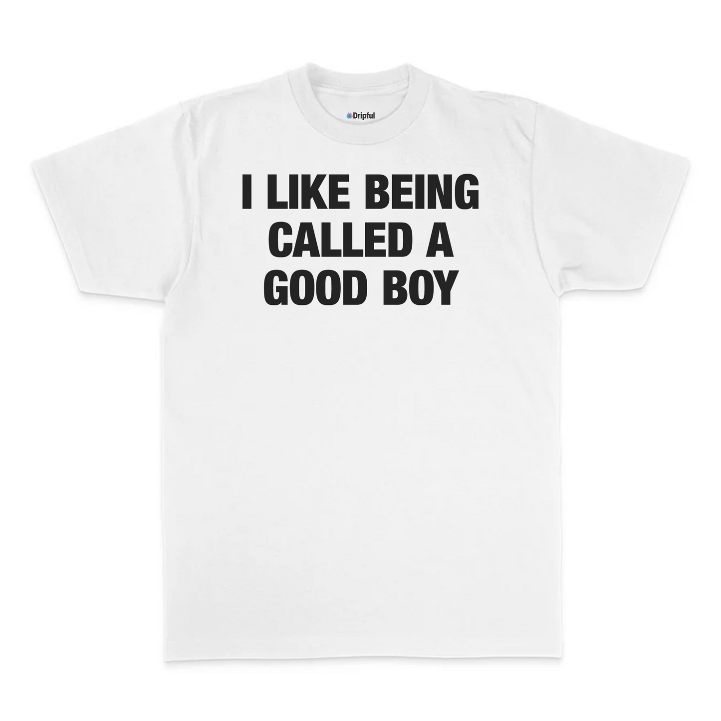 I Like Being Called A Good Boy T-Shirt